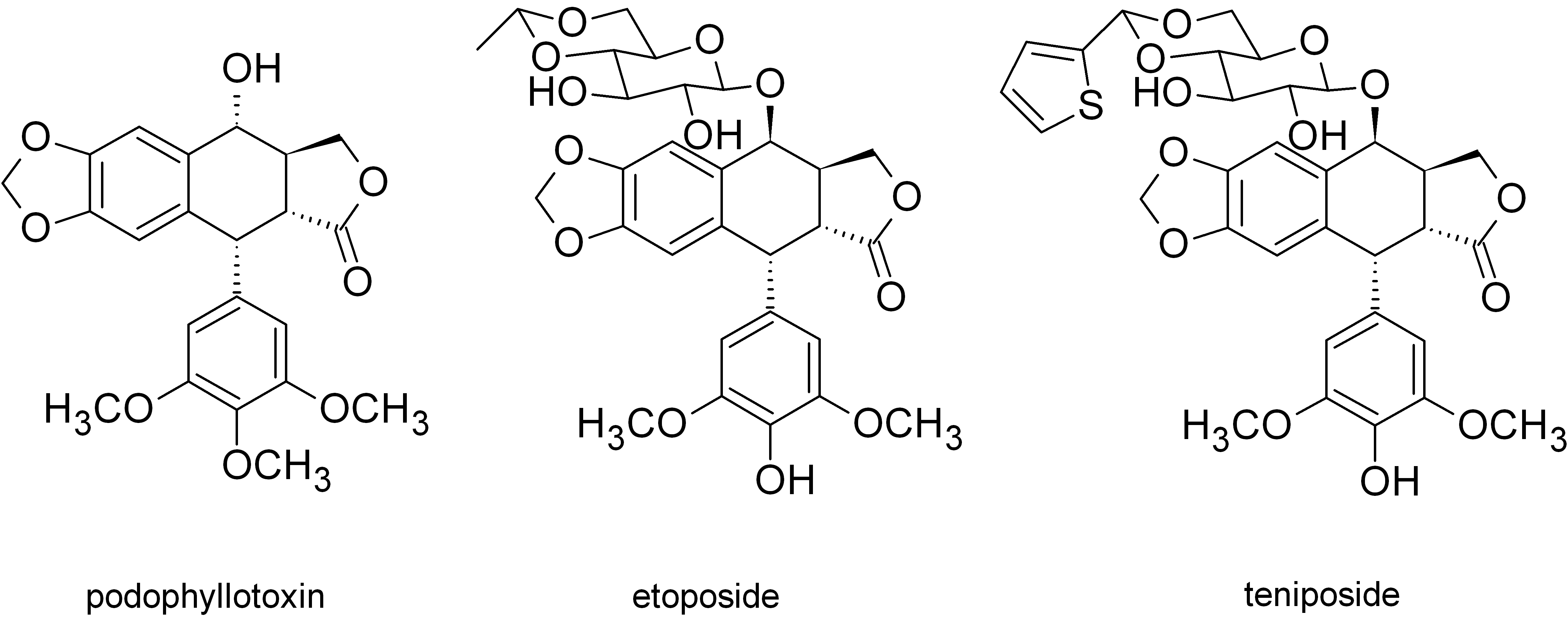 Res 4 Fig 1 EN (1)