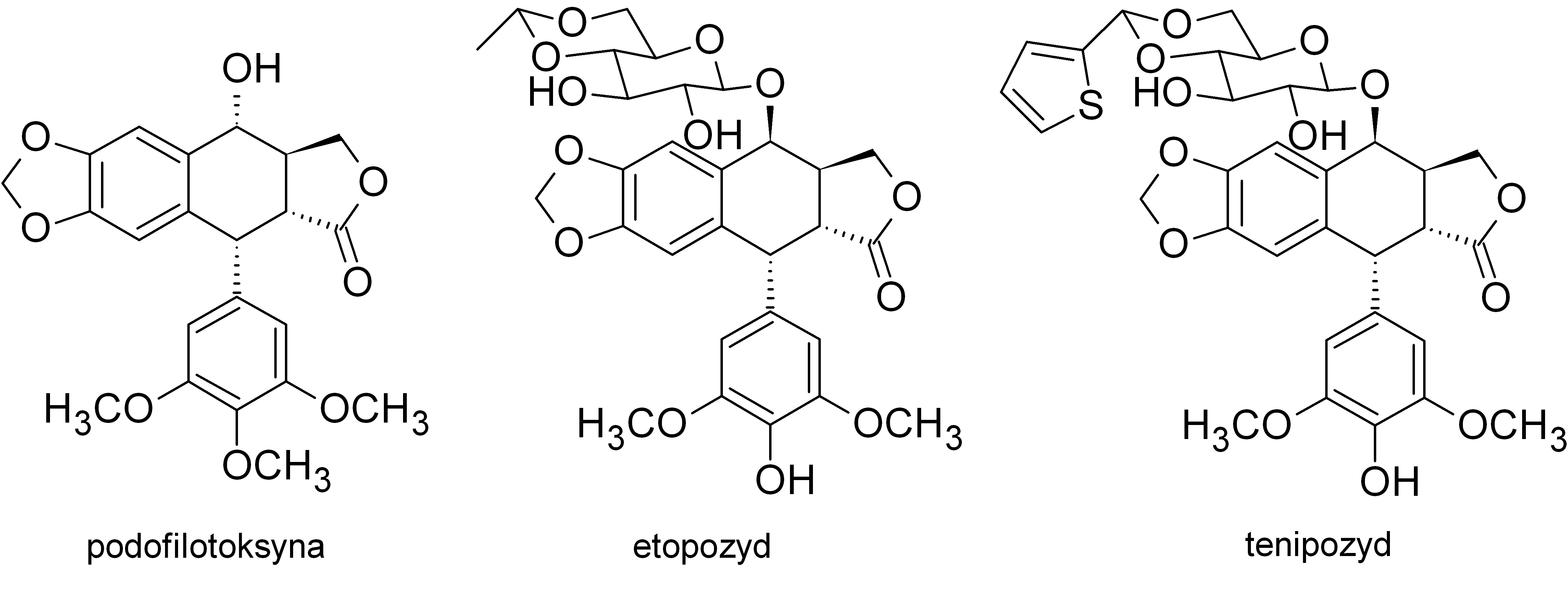 Res 4 Fig 1 PL (1)